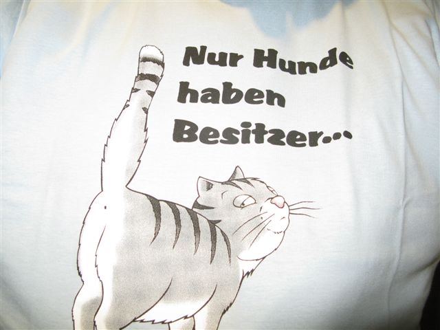 ../Images/Jahresabschluss 2010 MSV BS 183.jpg